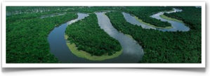 tropische rivier